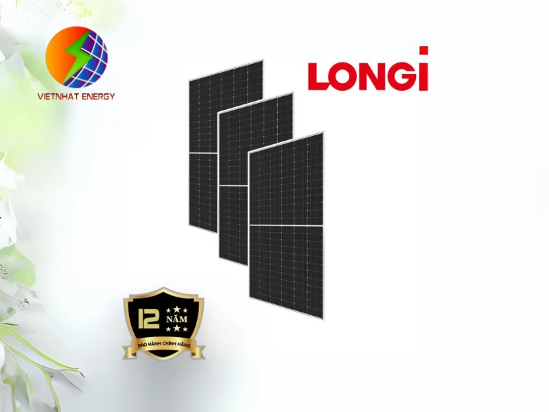 pin longi