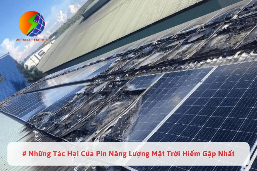 #Những Tác Hại Của Pin Năng Lượng Mặt Trời Hiếm Gặp Nhất