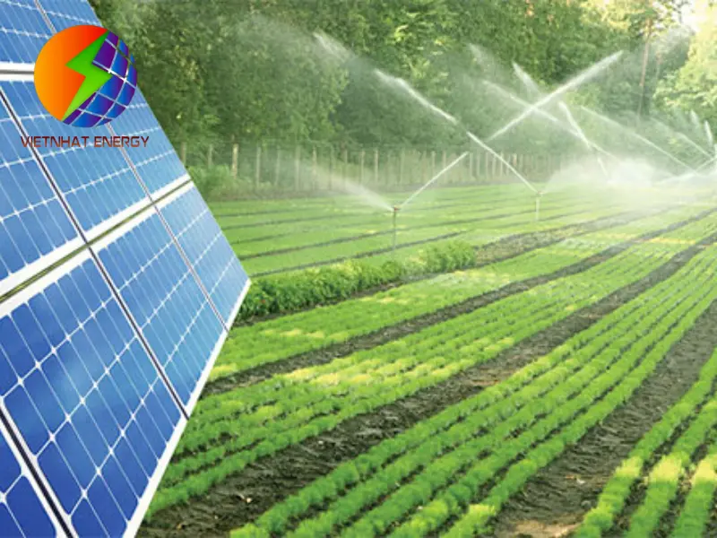 Tổng hợp các loại đèn mặt trời hỗ trợ chiếu sáng nông nghiệp Tổng hợp các loại đèn mặt trời hỗ trợ chiếu sáng nông nghiệp