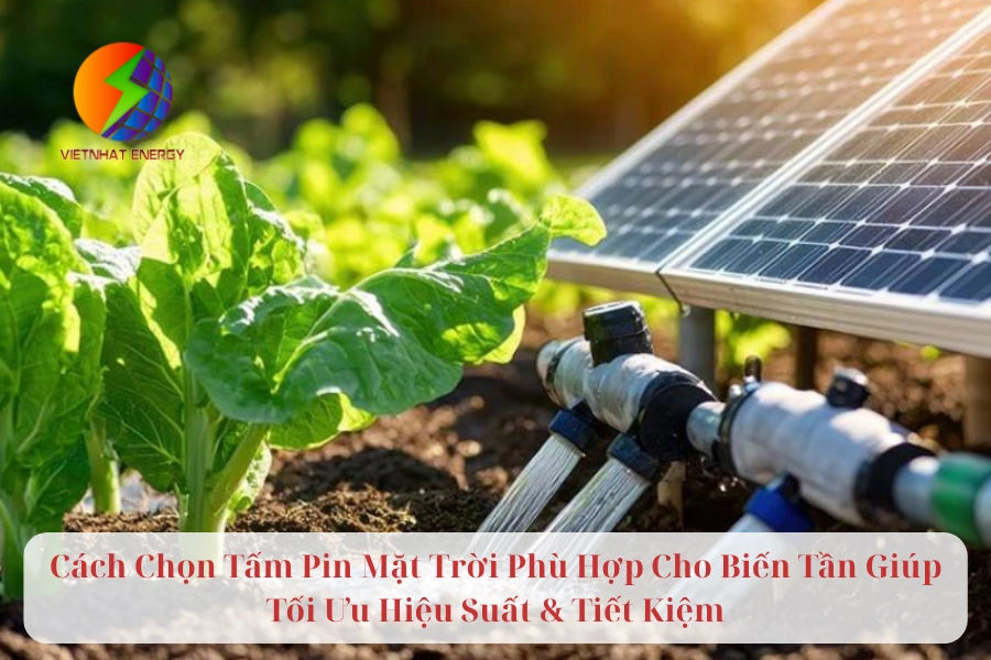 Cách Chọn Tấm Pin Mặt Trời Phù Hợp Cho Biến Tần Giúp Tối Ưu Hiệu Suất & Tiết Kiệm