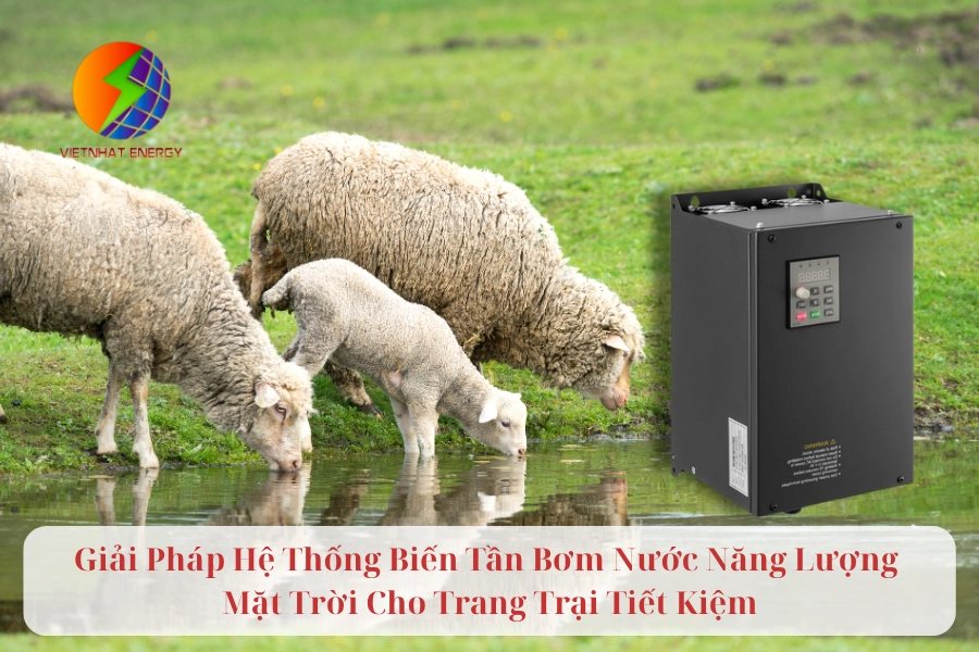 Giải Pháp Hệ Thống Biến Tần Bơm Nước Năng Lượng Mặt Trời Cho Trang Trại Tiết Kiệm